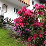 Fuchsenstube * Schruns